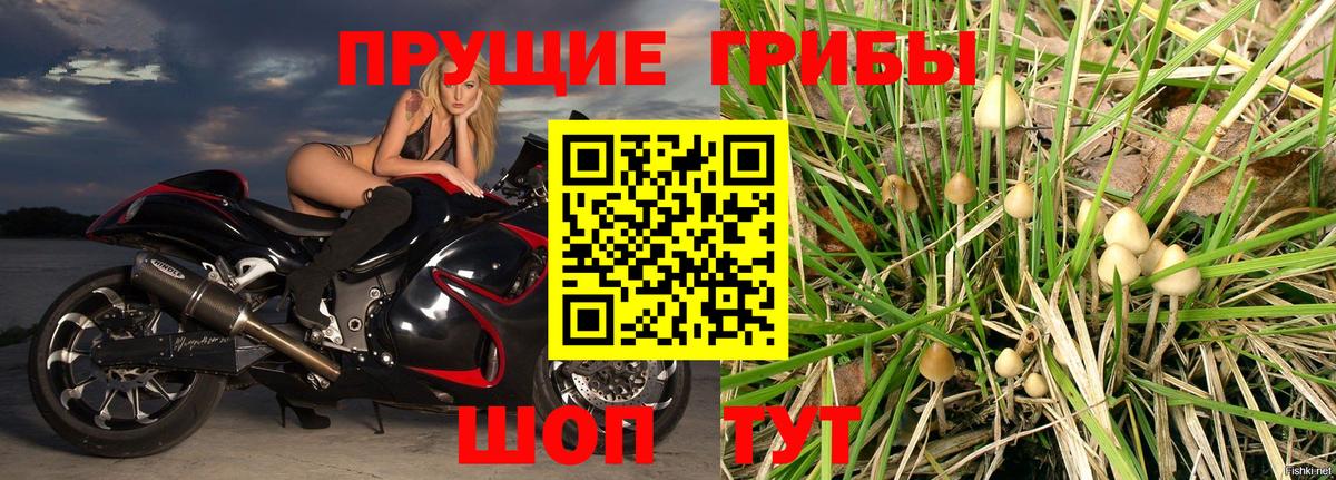 Десногорск  Псилоцибиновые грибы GOLDEN TEACHER  Вход с VPN 